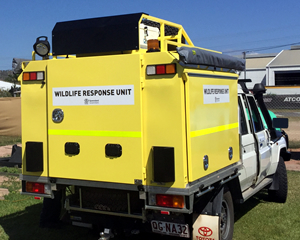 Cassowary Transport Unit